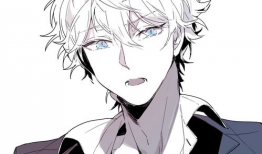 动漫 男,动漫中的热血少年传奇